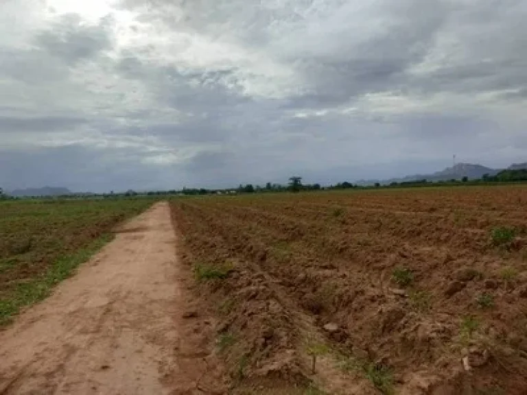 ขายที่ดิน กาญจนบุรี 100 ไร่ ติดถนนลาดยาง เหมาะทำการเกษตร ใกล้แหล่งน้ำ