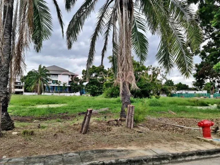 ขายที่ดิน บางพลี สมุทรปราการ หมู่บ้านวินด์มิลล์ 525 ตรว ถบางนา-ตราด กม10 ใกล้สนามบินสุวรรณภูมิ