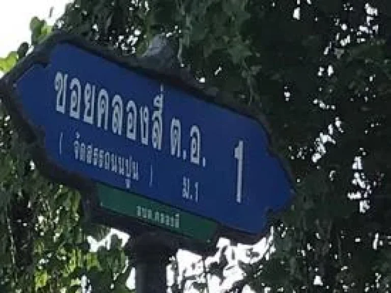 ขายด่วนที่ดิน รังสัตนครนายก คลอง 4 ฝั่งถนนขาออก นครนายก