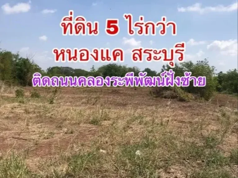 ขายด่วนที่ดินเนื้อที่ 5 ไร่เศษ หนองแค สระบุรี BLAL0739