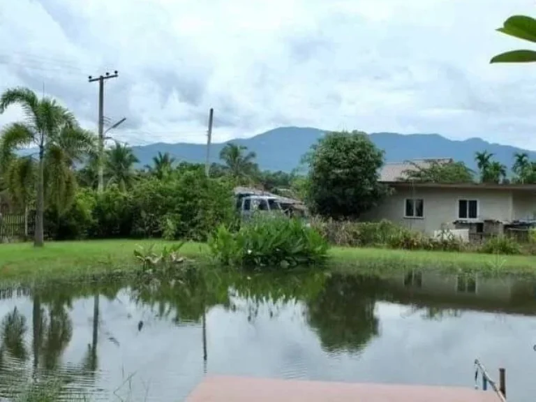 ให้เช่าบ้านสวน วิวภูเขา180องศา พร้อมบ่อปลา ท่ามกลางธรรมชาติ แม่ริม เชียงใหม่