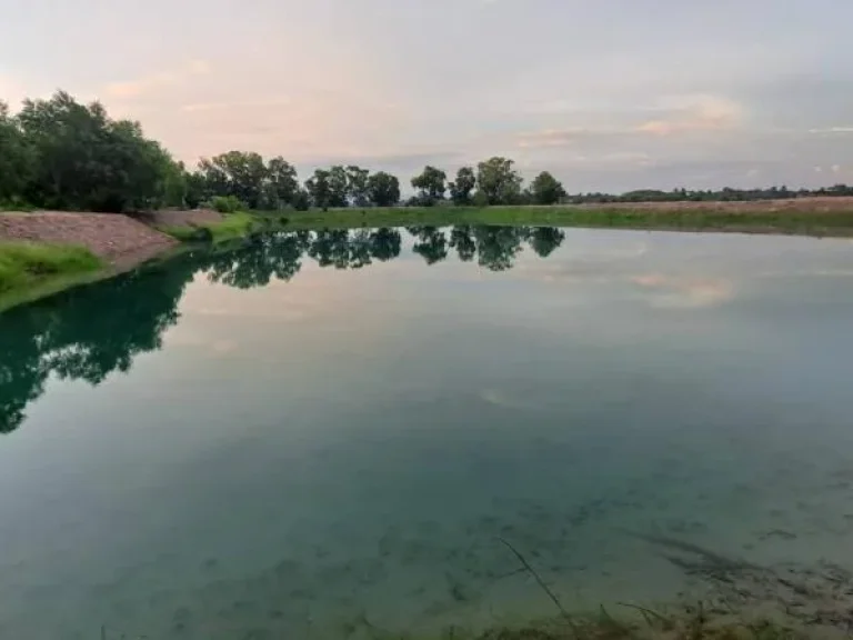 ที่ดินปราจีนบุรีเหมาะพัฒนาเป็นบ้านสวนกลางทุ่ง รีสอร์ท ศูนย์เรียนรู้ทางเกษตร 12 ไร่ 3 งาน 33 ตารางวา