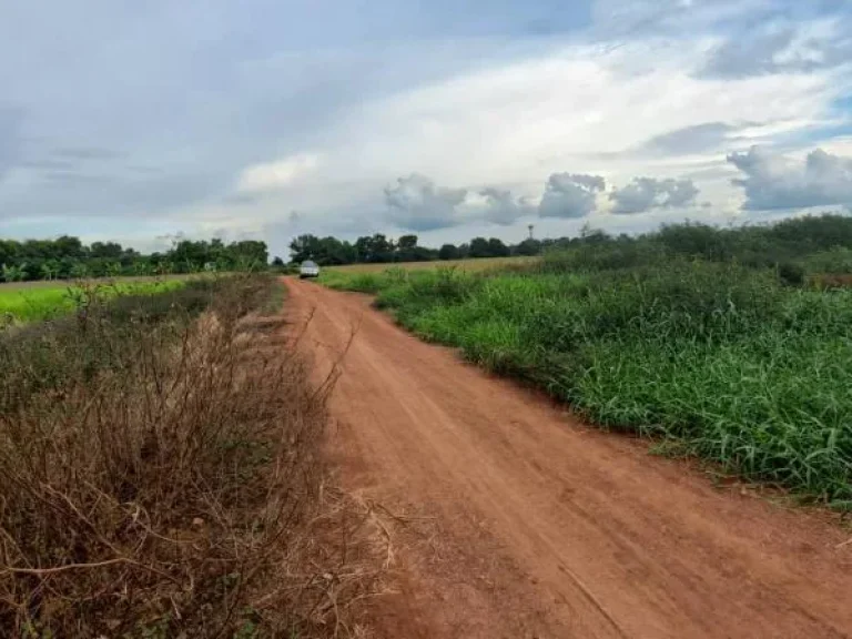 ที่ดินปราจีนบุรีเหมาะพัฒนาเป็นบ้านสวนกลางทุ่ง รีสอร์ท ศูนย์เรียนรู้ทางเกษตร 12 ไร่ 3 งาน 33 ตารางวา