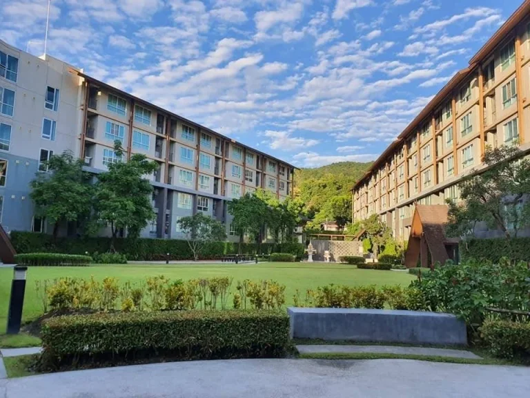 ขายเช่า D Condo campus resort Chiang Mai ห้องมุม วิวสระว่ายน้ำ หลังมช