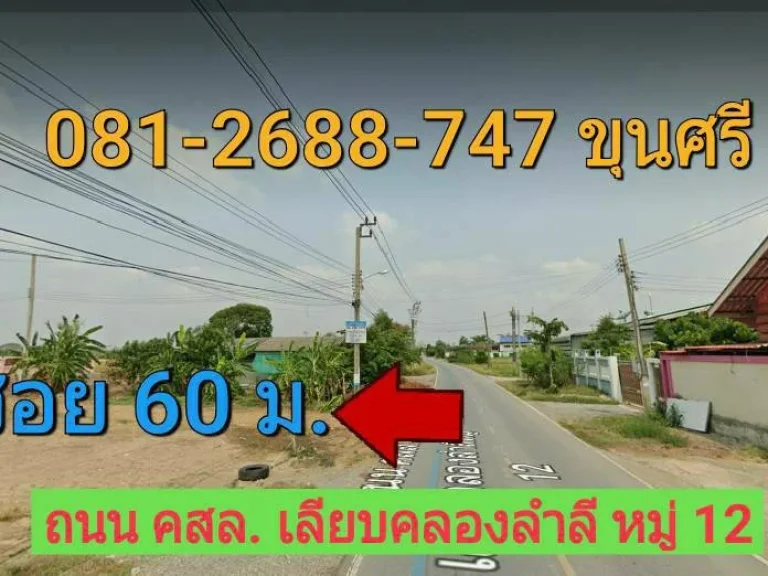 ขายที่ดินต่ำกว่าราคาตลาด 220 ตารางวา ถนน เลียบคลองลำลี หมู่ 12 อำเภอบางบัวทอง จังหวัด นนทบุรี