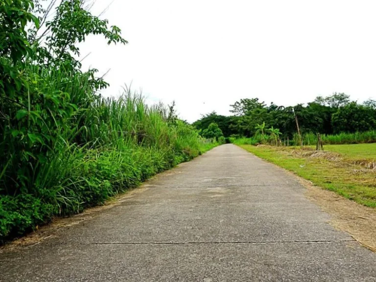 ขายที่ดินตำบลป่าไผ่ อำเภอสันทราย จังหวัดเชียงใหม่