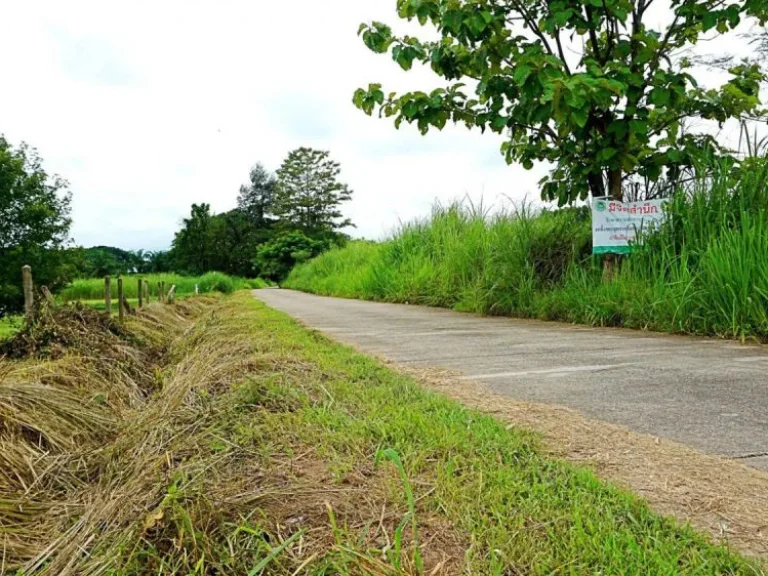 ขายที่ดินตำบลป่าไผ่ อำเภอสันทราย จังหวัดเชียงใหม่