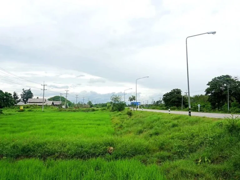 ขายที่ดินติดถนนสันกำแพงสายใหม่ ตำบลบวกค้าง อำเภอสันกำแพง จังหวัดเชียงใหม่