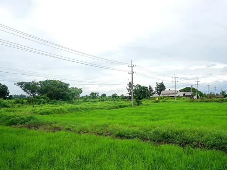 ขายที่ดินติดถนนสันกำแพงสายใหม่ ตำบลบวกค้าง อำเภอสันกำแพง จังหวัดเชียงใหม่