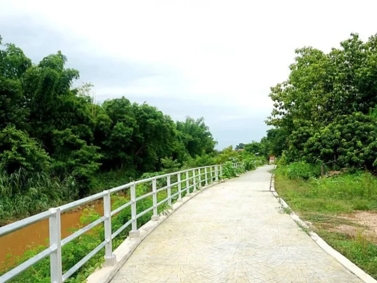 ขายที่ดินบ้านทุ่งหลุก ตำบลท่าวังพร้าว อำเภอสันป่าตอง จังหวัดเชียงใหม่