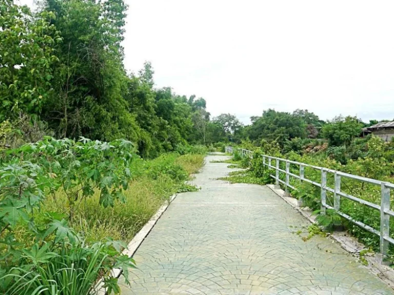 ขายที่ดินบ้านทุ่งหลุก ตำบลท่าวังพร้าว อำเภอสันป่าตอง จังหวัดเชียงใหม่