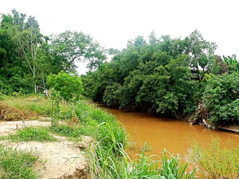 ขายที่ดินบ้านทุ่งหลุก ตำบลท่าวังพร้าว อำเภอสันป่าตอง จังหวัดเชียงใหม่