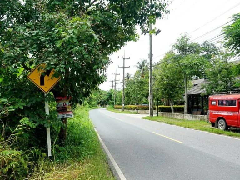 ขายที่ดิน ตำบลห้วยทราย อำเภอแม่ริม จังหวัดเชียงใหม่