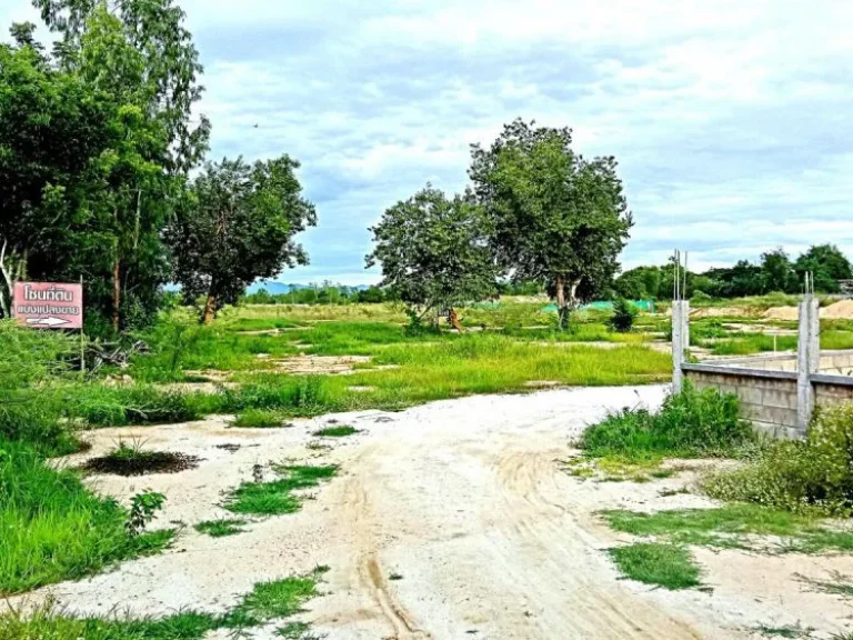 ขายที่ดินท่ารั้ว ตำบลสันปูเลย อำเภอดอยสะเก็ด จังหวัดเชียงใหม่