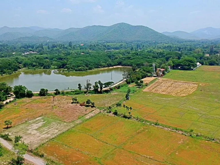 ขายที่ดินสวนเกษตรสันทราย ตำบลหนองแหย่ง อำเภอสันทราย จังหวัดเชียงใหม่