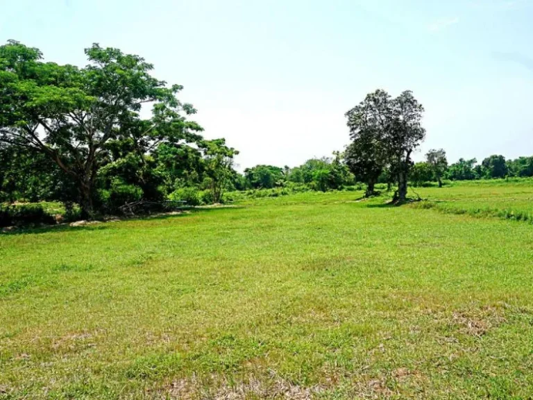 ขายที่ดินสวนเกษตรสันทราย ตำบลหนองแหย่ง อำเภอสันทราย จังหวัดเชียงใหม่