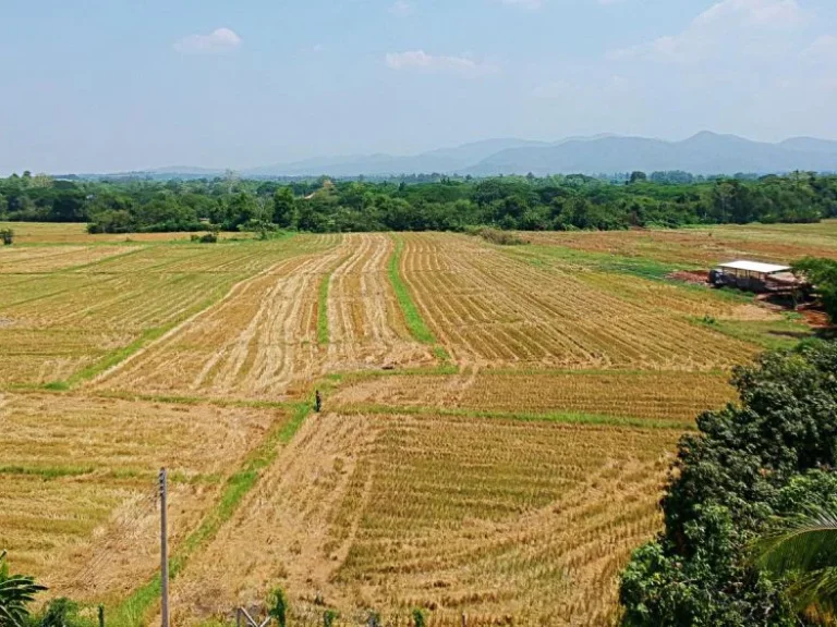 ขายที่ดิน ตำบลเมืองเล็น อำเภอสันทราย จังหวัดเชียงใหม่