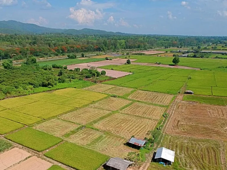 ขายที่ดินแม่แฝก สันทราย จังหวัดเชียงใหม่