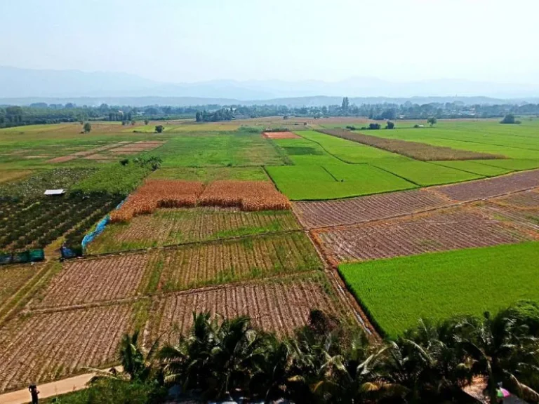 ขายที่นาที่ไร่ ตำบลแม่แฝก อำเภอสันทราย จังหวัดเชียงใหม่