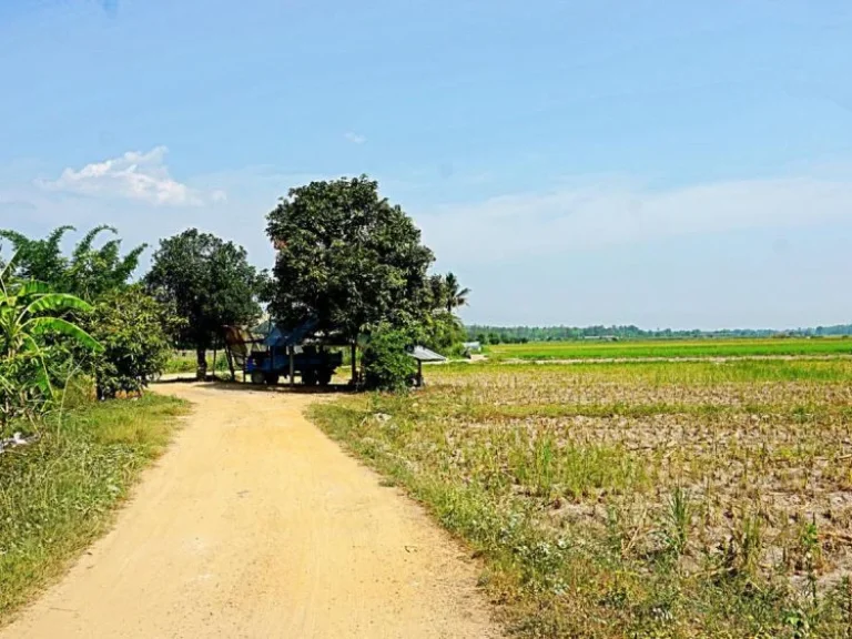 ขายที่นาที่ไร่ ตำบลแม่แฝก อำเภอสันทราย จังหวัดเชียงใหม่