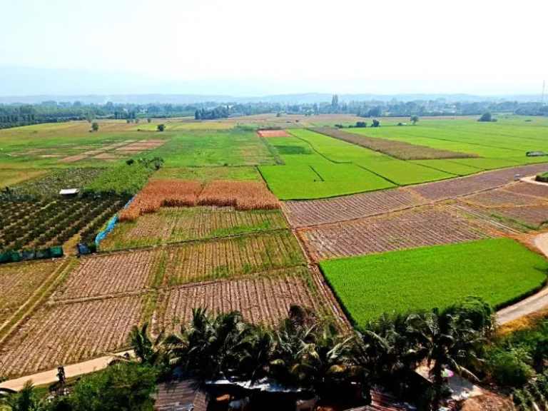 ขายที่นาที่ไร่ ตำบลแม่แฝก อำเภอสันทราย จังหวัดเชียงใหม่