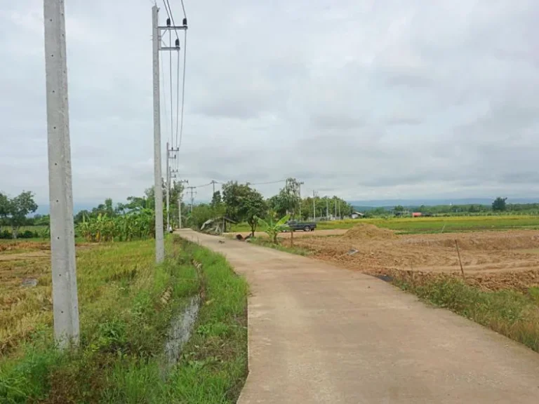 ขายที่ดิน แม่แฝก อำเภอสันทราย จังหวัดเชียงใหม่ ติดถนนคอนกรีต