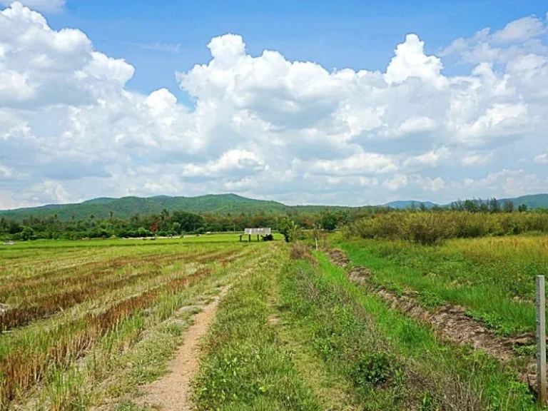 ขายที่ดินราคาถูก ตำบลแม่แฝก อำเภอสันทราย จังหวัดเชียงใหม่