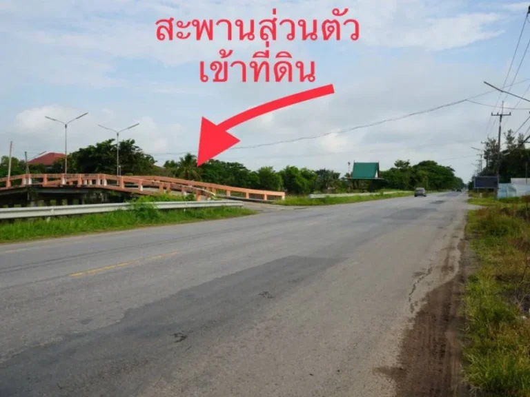 ขายที่ดินจัดสรรปทุมธานี หนองเสือ คลอง10 ตำบลบึงบาใต้ อำเภอหนองเสือ ปทุมธานี 200 ตรว