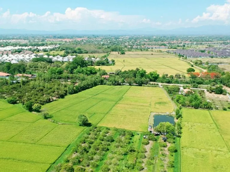 ขายที่นา ตำบลป่าบง อำเภอสารภี จังหวัดเชียงใหม่ ถนนสันกำแพงสายใหม่