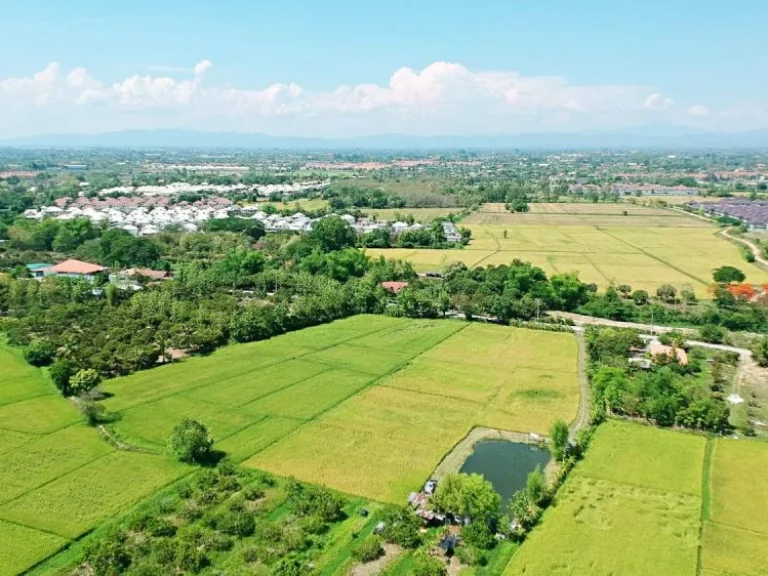 ขายที่นา ตำบลป่าบง อำเภอสารภี จังหวัดเชียงใหม่ ถนนสันกำแพงสายใหม่