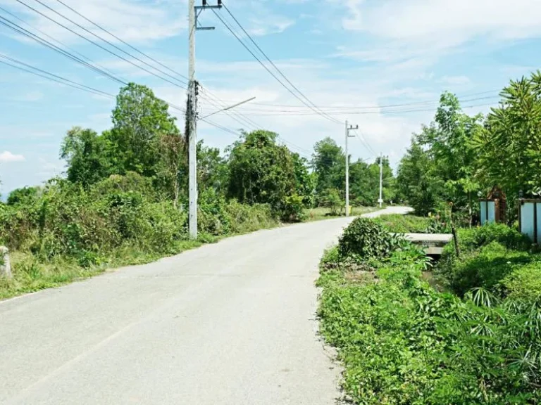 ขายที่นา ตำบลป่าบง อำเภอสารภี จังหวัดเชียงใหม่ ถนนสันกำแพงสายใหม่