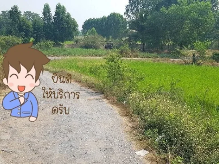 ขายที่ดินการเกษตร 29-2-0 ไร่ ตศาลาแดง อบางน้ำเปรี้ยว จฉะเชิงเทรา