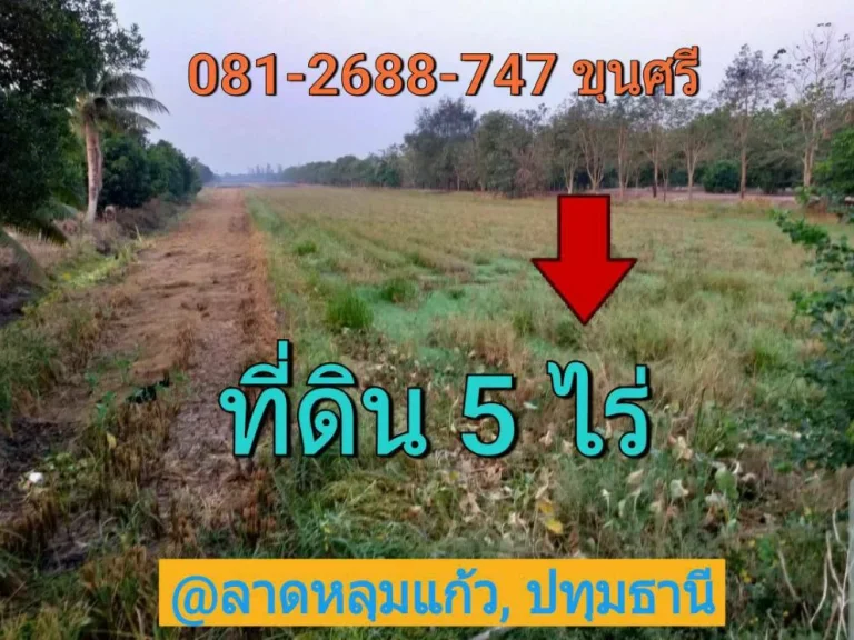 ขายที่ดินราคาถูก 5 ไร่ ซอย เทศบาล 5 อำเภอ ลาดหลุมแก้ว จังหวัด ปทุมธานี