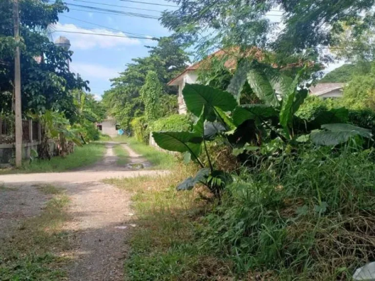 ขายที่ดินสันพระเนตรติดถนนสองด้าน ราคาถูก