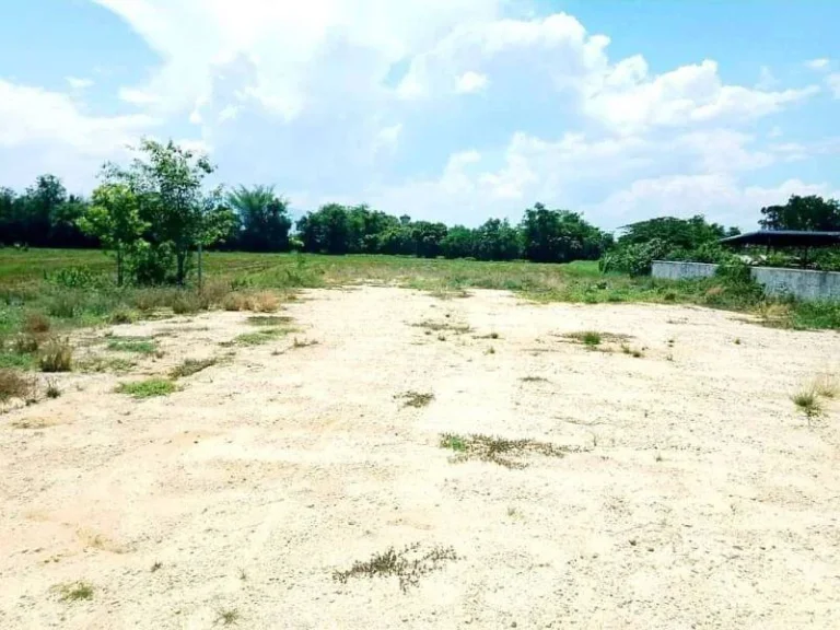 ขายที่ดินห่างแยกศาลเด็กเพียง 8 km สันปูเลยืดอยสะเก็ตราคาถูก