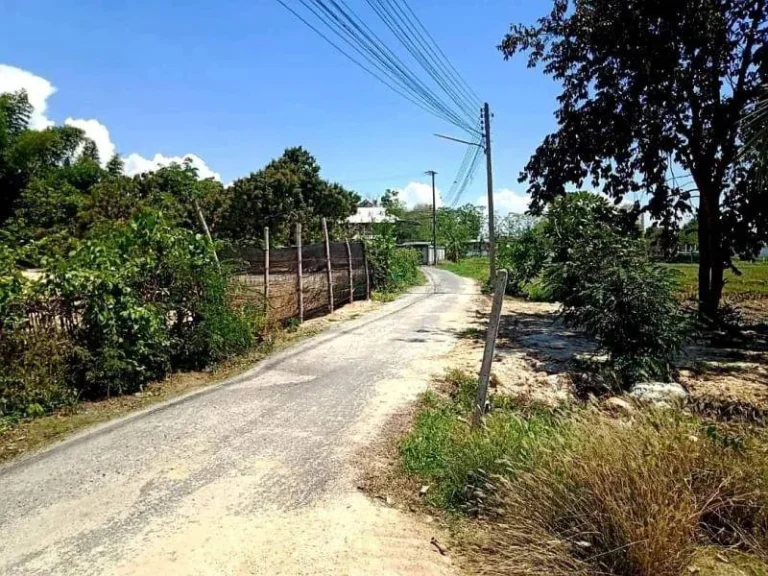 ขายที่ดินห่างแยกศาลเด็กเพียง 8 km สันปูเลยืดอยสะเก็ตราคาถูก