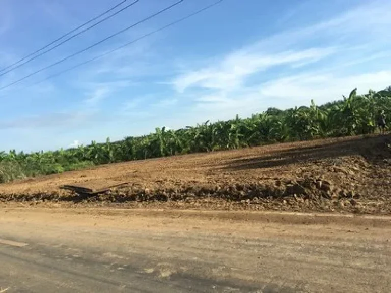 ขายที่ดินถมแล้วติดถนนลาดยางในซอย คลอง 8 หนองเสือ 200 ตรว เหมาะ ปลูกบ้าน ทำเลดี ใกล้แหล่งชุมชน