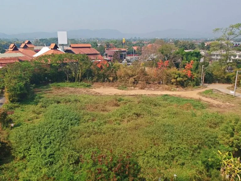 ขายที่ดิน ติดกาดฝรั่งด้านหลัง ตำบลบ้านแหวน อำเภอหางดง จังหวัดเชียงใหม่