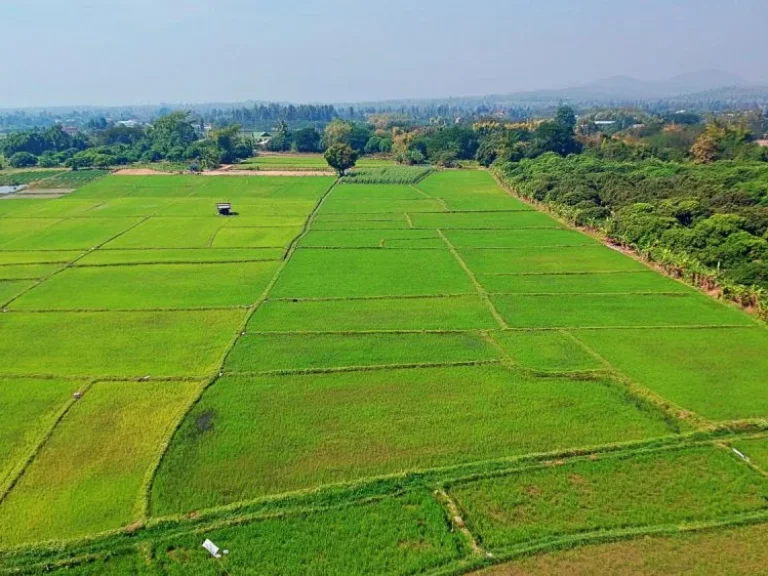 ขายที่ดิน ตำบลน้ำแพร่ อำเภอหางดง จังหวัดเชียงใหม่