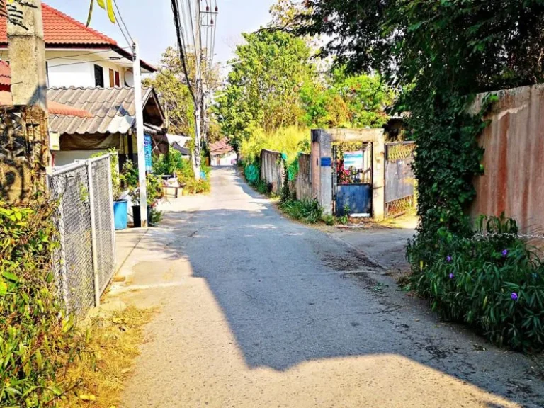 ขายที่ดิน ถนนโชตนา ตำบลช้างเผือก อำเภอเมือง จังหวัดเชียงใหม่