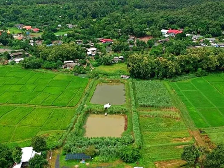 ขายที่ดิน ติดถนน ชม3044 ตำบลแม่โป่ง อำเภอดอยสะเก็ด จังหวัดเชียงใหม่