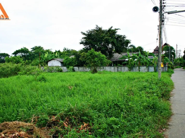 ขายที่ดิน บ้านสันเหนือ ตำบลสันกำแพง อำเภอสันกำแพง จังหวัดเชียงใหม่