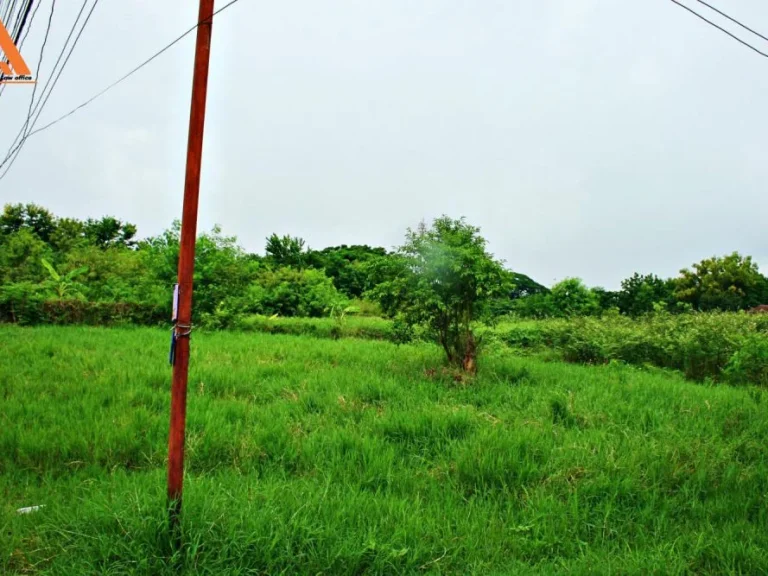 ขายที่ดิน บ้านสันเหนือ ตำบลสันกำแพง อำเภอสันกำแพง จังหวัดเชียงใหม่