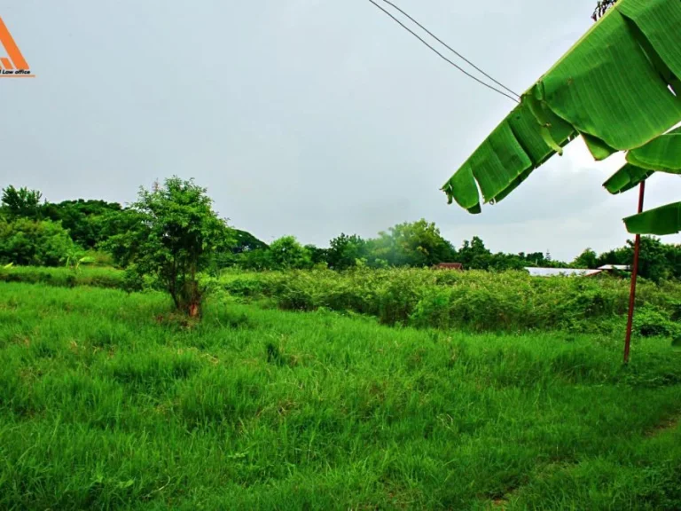 ขายที่ดิน บ้านสันเหนือ ตำบลสันกำแพง อำเภอสันกำแพง จังหวัดเชียงใหม่