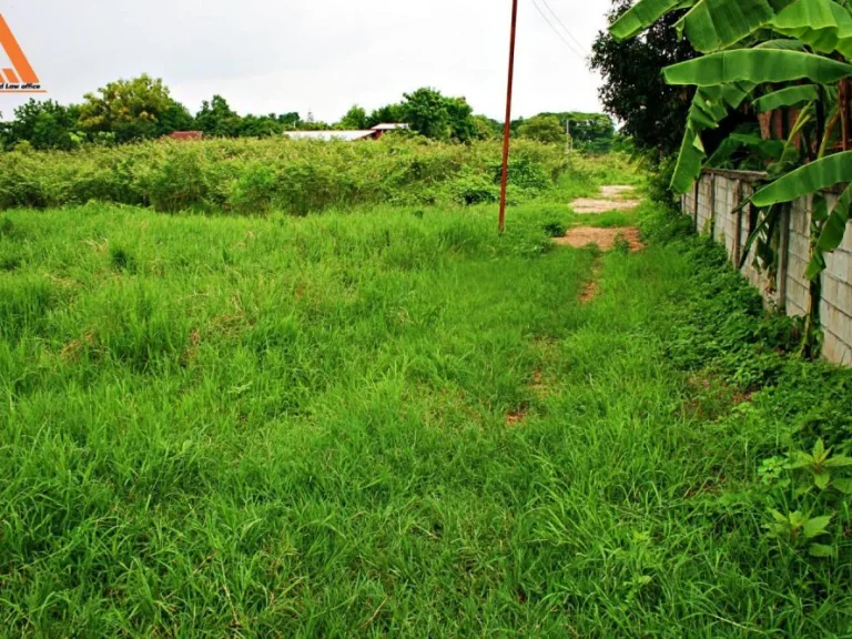 ขายที่ดิน บ้านสันเหนือ ตำบลสันกำแพง อำเภอสันกำแพง จังหวัดเชียงใหม่