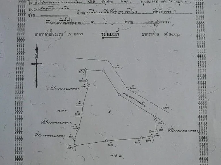 ขายที่ดิน สวนยางพารา อายุประมาณ 12 ปี มีผลไม้ เงาะ ลองกอง มังคุด และอื่นๆ