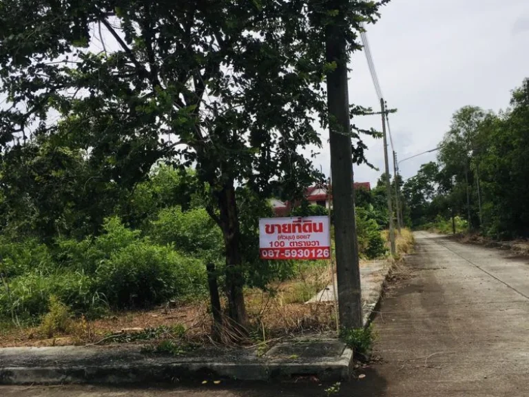 ขายที่ดิน 100 ตรว ซอย7 หัวมุม สหกรณ์ออมทรัพย์ครูสงขลา