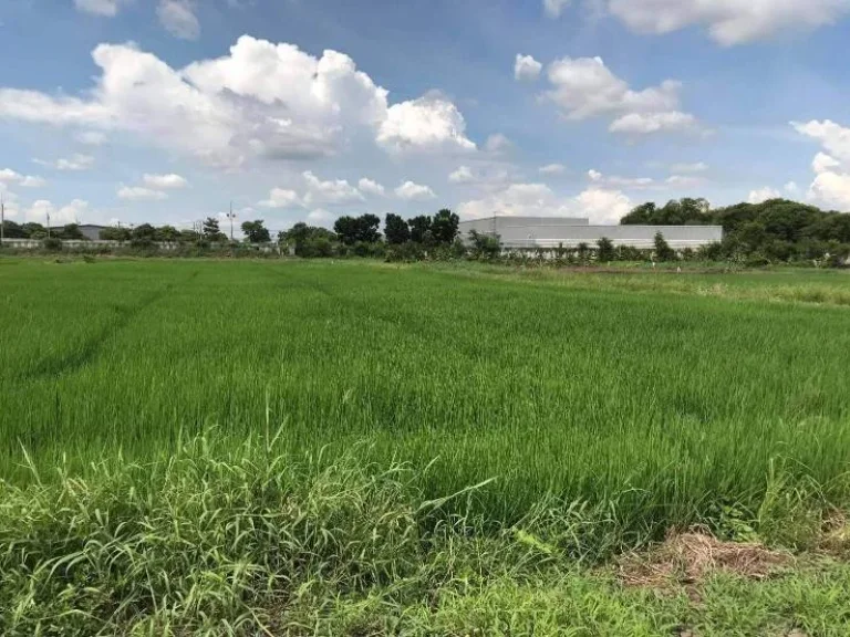 ขายที่ดินติดถนนโรจนะ ตำบลอุทัย อำเภออุทัย จังหวัดพระนครศรีอยุธยา