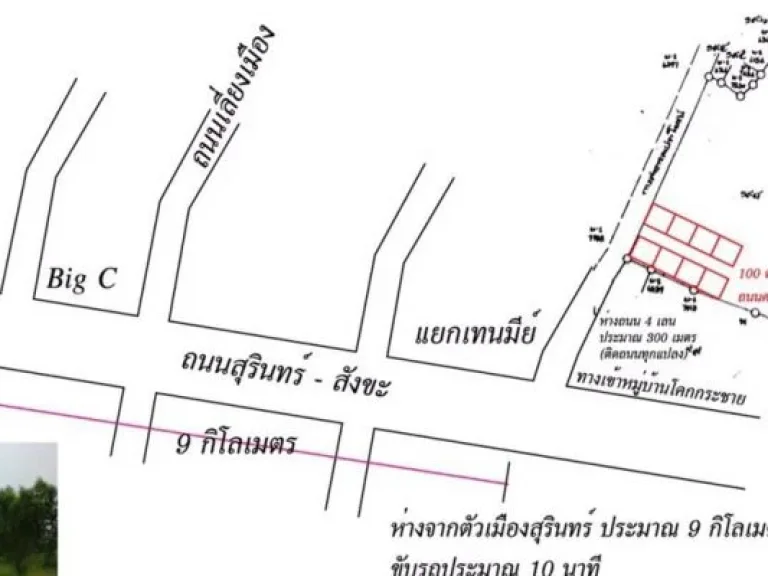 ขายที่ดิน เริ่มต้นแปลงละ 100 ตารางวา ถึงประมาณ 3 ไร่ ราคาเริ่มต้น 350000 บาท ลดราคา เจ้าของขายเอง เหมาะกับการปลูกสร้าง บ้านสวนและการลงทุน มีอนาคต ติด