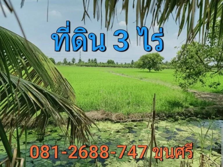 ขายที่ดินราคาถูก 3 ไร่ เหมาะสร้างบ้านสวน ซอย วัดสโมสร ตำบล ไทรใหญ่ อำเภอ ไทรน้อย นนทบุรี